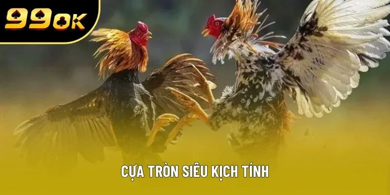 Cựa tròn siêu kịch tính Cựa tròn siêu kịch tính