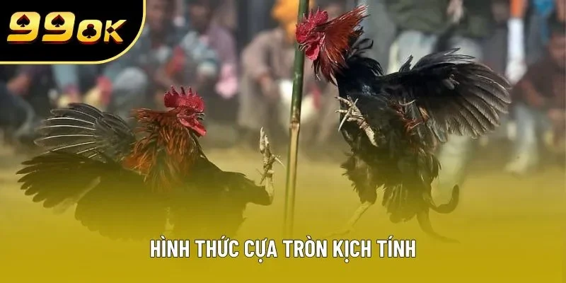 Hình thức cựa tròn kịch tính