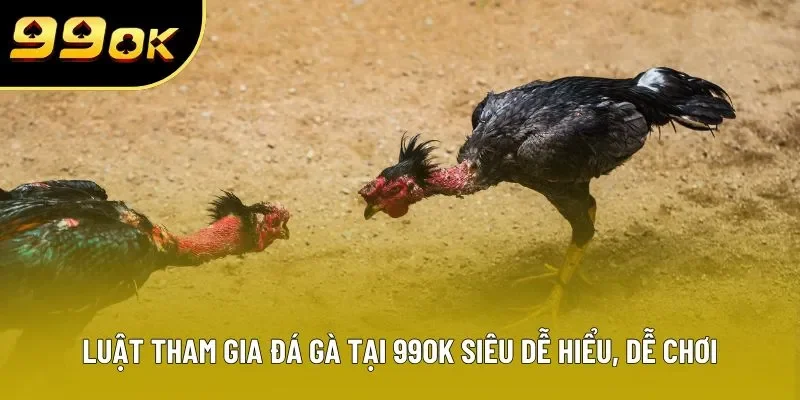 Luật tham gia đá gà tại 99OK siêu dễ hiểu, dễ chơi Luật tham gia đá gà tại 99OK siêu dễ hiểu, dễ chơi