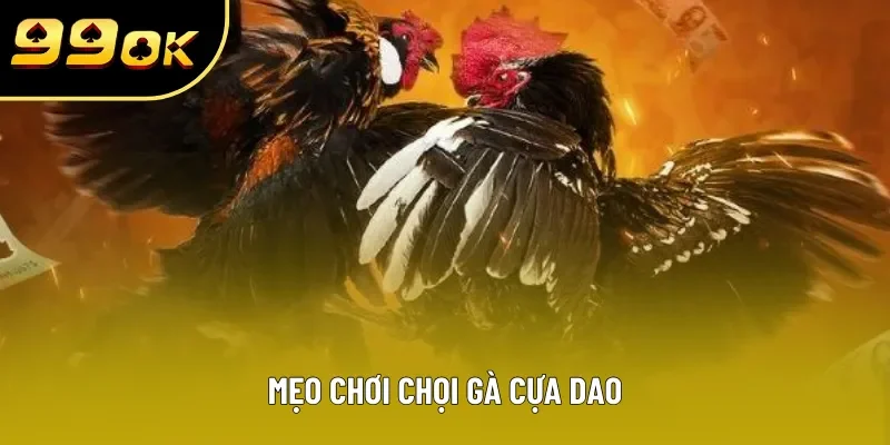 Mẹo chơi chọi gà cựa dao Mẹo chơi chọi gà cựa dao