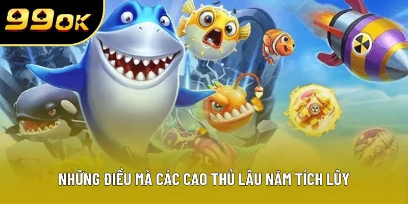 Những điều mà các cao thủ lâu năm tích lũy Những điều mà các cao thủ lâu năm tích lũy