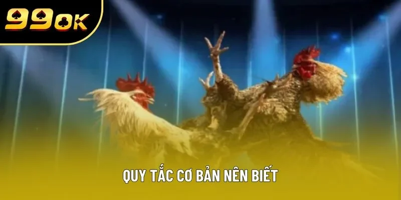 Quy tắc cơ bản nên biết Quy tắc cơ bản nên biết