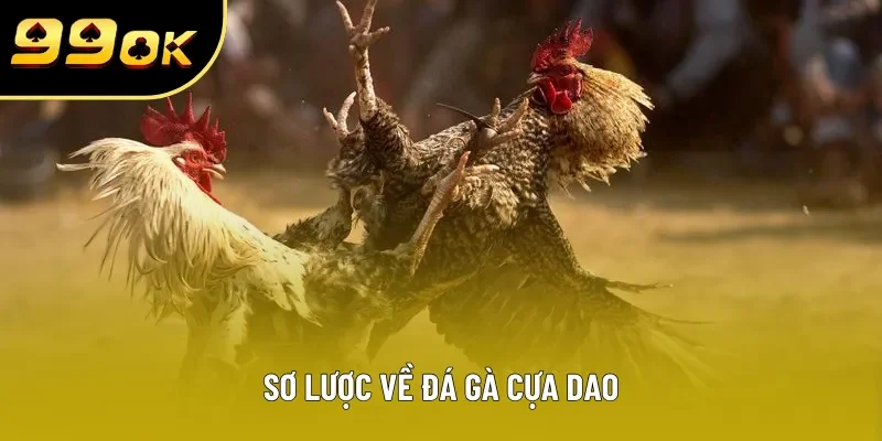 Sơ lược về đá gà cựa dao Sơ lược về đá gà cựa dao