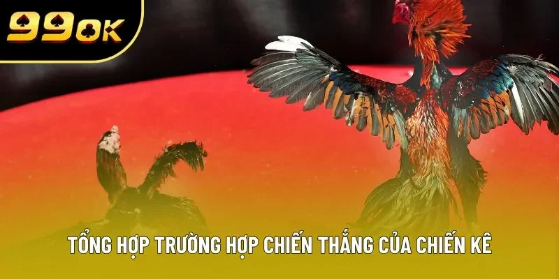 Tổng hợp trường hợp chiến thắng của chiến kê Tổng hợp trường hợp chiến thắng của chiến kê