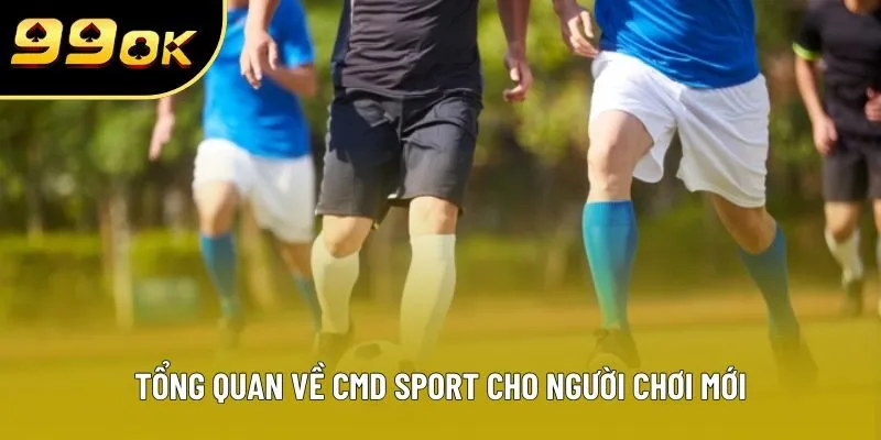 Tổng quan về CMD SPORT cho người chơi mới Tổng quan về CMD SPORT cho người chơi mới
